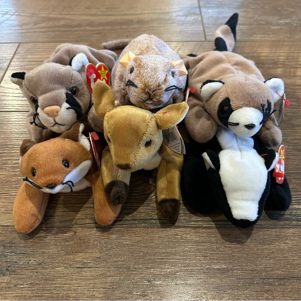 Lot of 6 Ty Beanie Babies Tiptoe, Whisper, Sly, Ringo, Stinky & Canyon